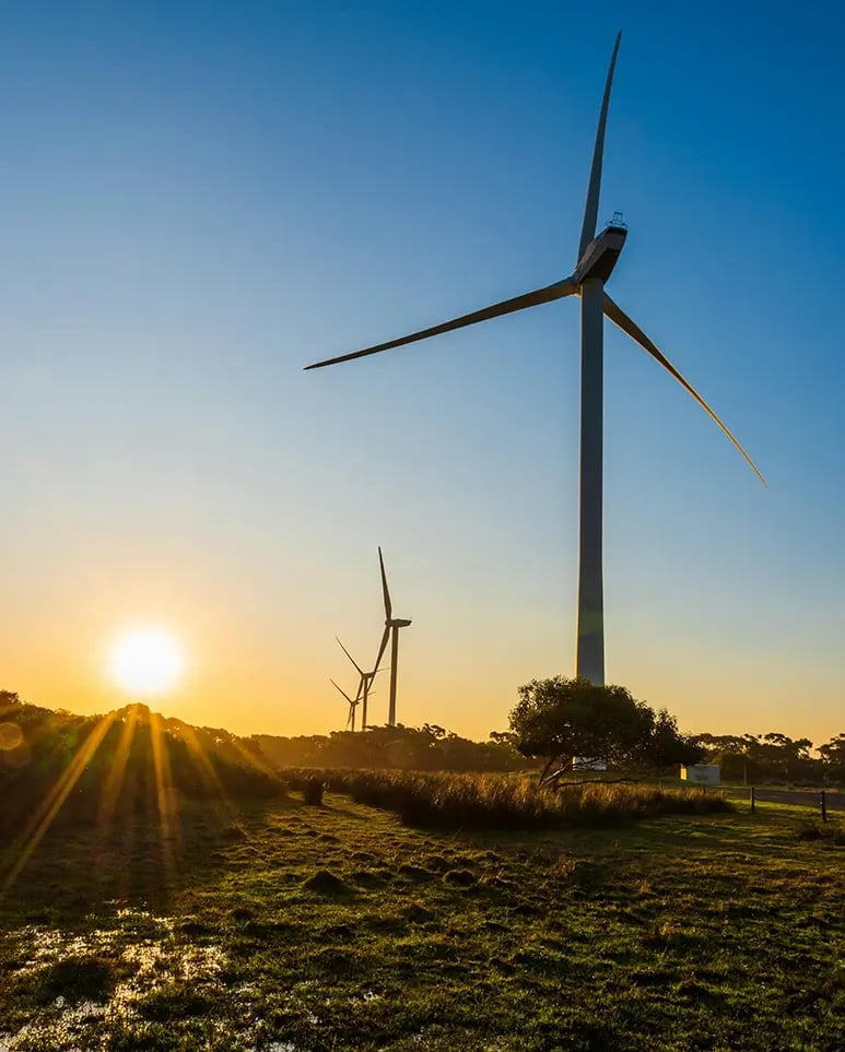 pexels-richard-pan-5305182-16871289 copy